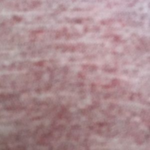 Meet your Posher, Peyton